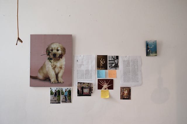 photo of dog hanging on a wall surrounded by photos of people