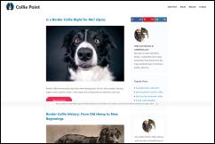 colliepoint.com