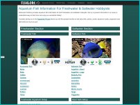 fishlore.com