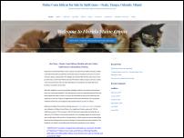 floridamainecoons.com