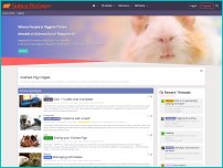 guineapigcages.com