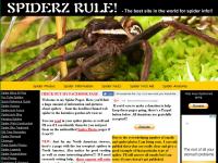 spiderzrule.com